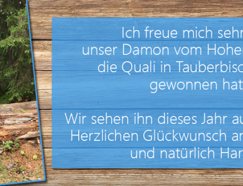 Herzlichen Glückwunsch für die Quali bei der IPO DM – Damon vom Hohenloher Land