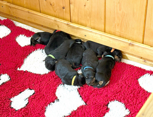 Allein gelassen am 4. Tag…